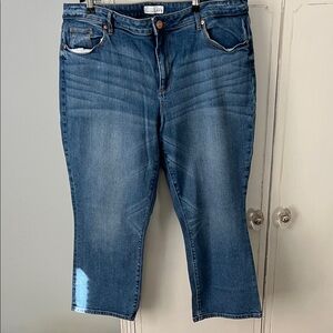 LOFT Dark Blue Ankle Jeans